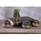 Mini Plant Pots For Succulent 4.5*6 CM